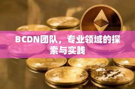 BCDN团队，专业领域的探索与实践