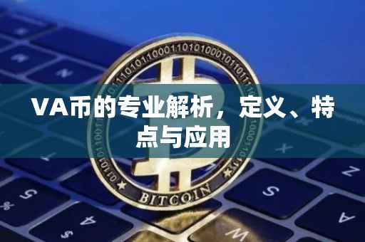 VA币的专业解析，定义、特点与应用