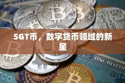 SGT币，数字货币领域的新星