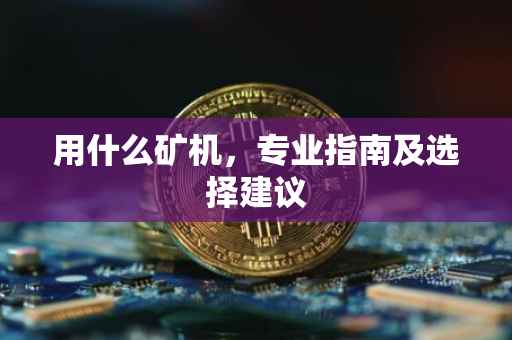 用什么矿机，专业指南及选择建议