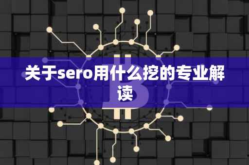 关于sero用什么挖的专业解读