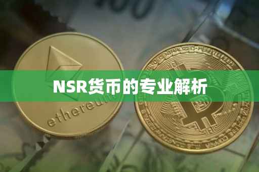 NSR货币的专业解析