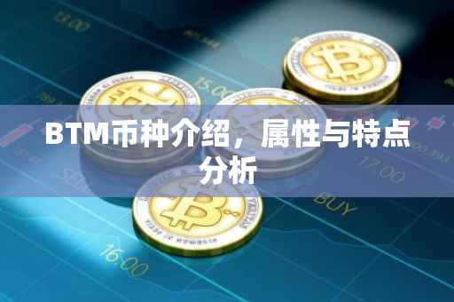 BTM币种介绍,属性与特点分析