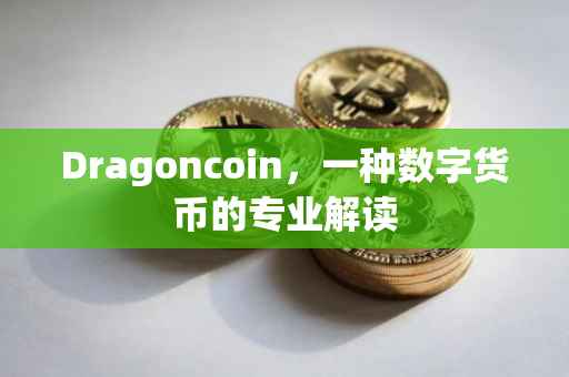 Dragoncoin,一种数字货币的专业解读