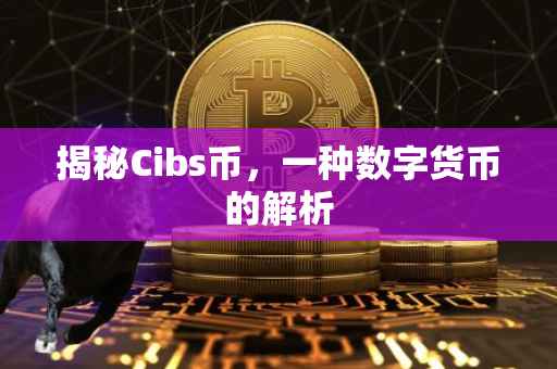揭秘Cibs币，一种数字货币的解析