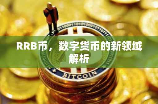 RRB币，数字货币的新领域解析