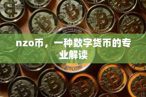 nzo币，一种数字货币的专业解读