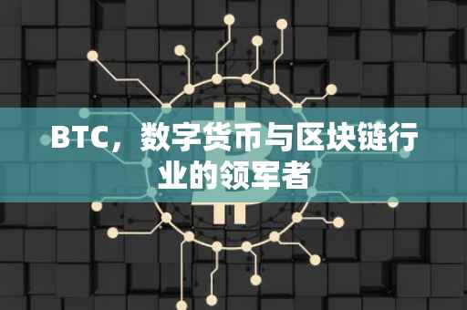 BTC,数字货币与区块链行业的领军者