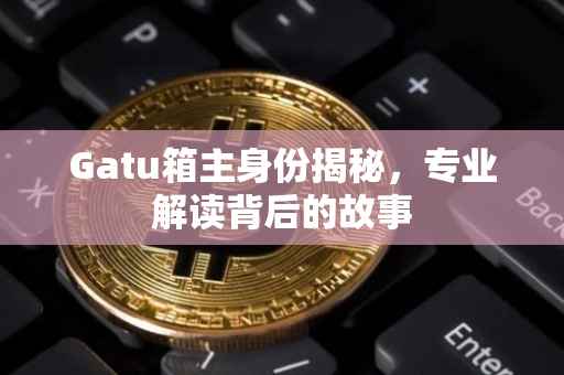 Gatu箱主身份揭秘，专业解读背后的故事