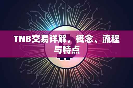TNB交易详解，概念、流程与特点