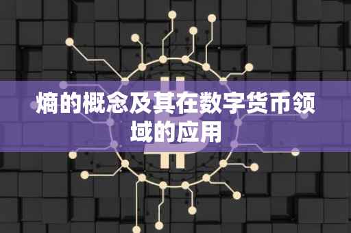 熵的概念及其在数字货币领域的应用