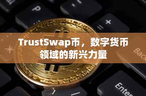 TrustSwap币，数字货币领域的新兴力量