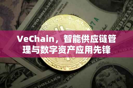 VeChain，智能供应链管理与数字资产应用先锋