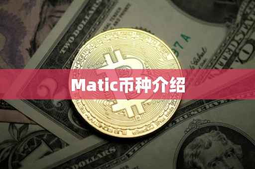 Matic币种介绍