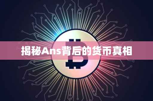 揭秘Ans背后的货币真相
