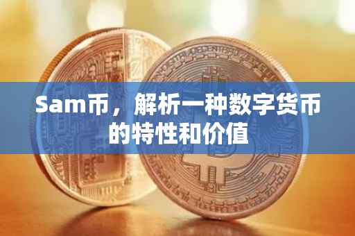 Sam币，解析一种数字货币的特性和价值