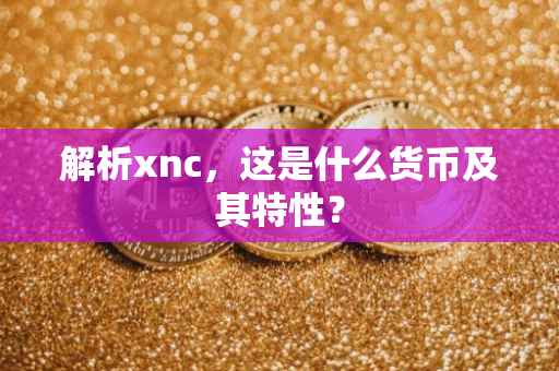 解析xnc，这是什么货币及其特性？