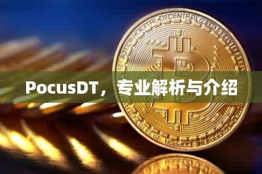 PocusDT，专业解析与介绍