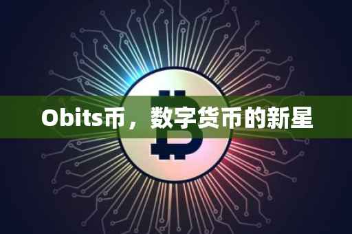 Obits币，数字货币的新星