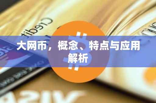 大网币，概念、特点与应用解析