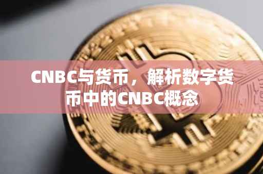 CNBC与货币，解析数字货币中的CNBC概念