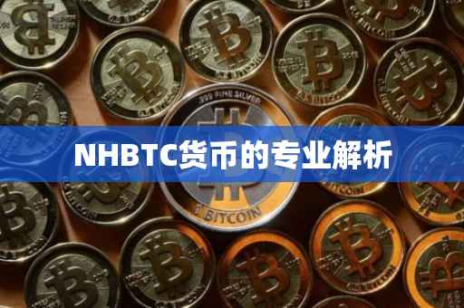 NHBTC货币的专业解析