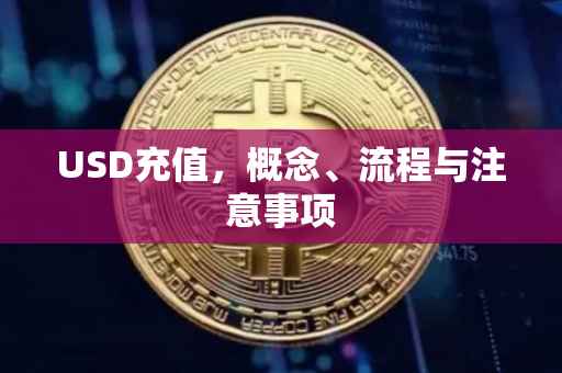 USD充值，概念、流程与注意事项