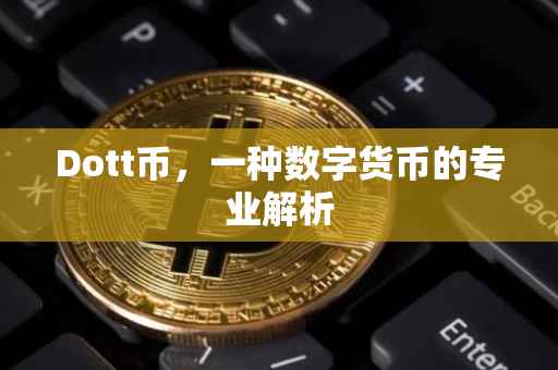 Dott币，一种数字货币的专业解析