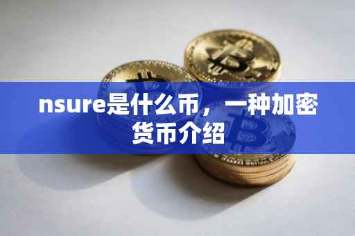 nsure是什么币，一种加密货币介绍