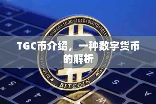 TGC币介绍，一种数字货币的解析