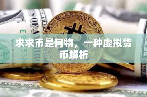 求求币是何物，一种虚拟货币解析