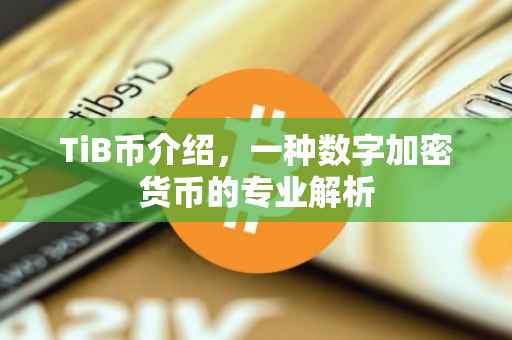 TiB币介绍，一种数字加密货币的专业解析