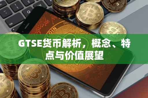 GTSE货币解析,概念、特点与价值展望
