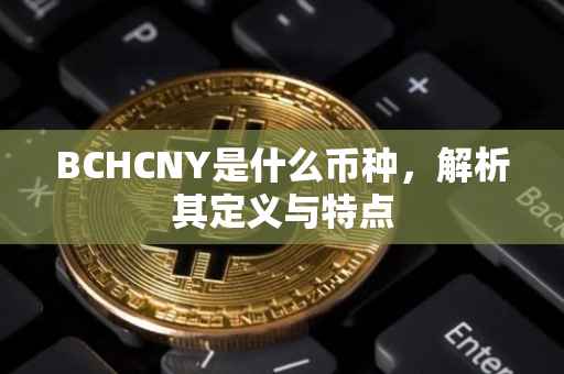 BCHCNY是什么币种，解析其定义与特点