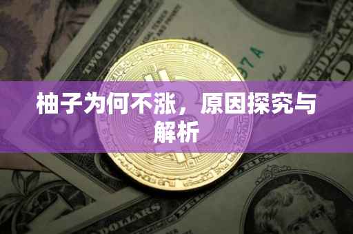 柚子为何不涨，原因探究与解析