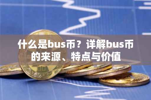 什么是bus币？详解bus币的来源、特点与价值