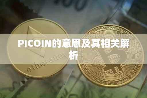 PICOIN的意思及其相关解析