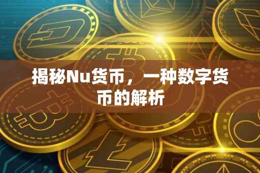 揭秘Nu货币，一种数字货币的解析