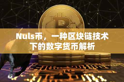 Nuls币,一种区块链技术下的数字货币解析