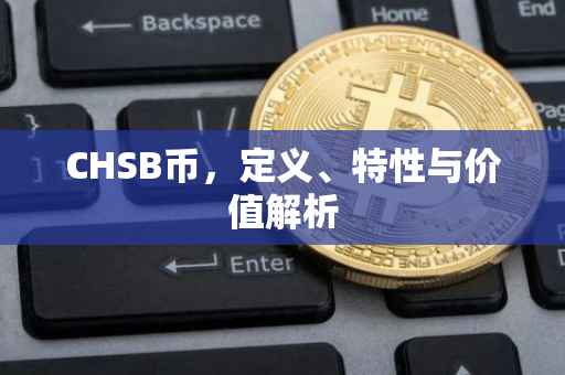 CHSB币，定义、特性与价值解析