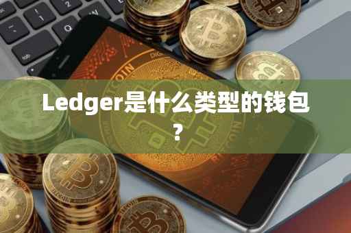 Ledger是什么类型的钱包？