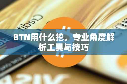 BTN用什么挖，专业角度解析工具与技巧