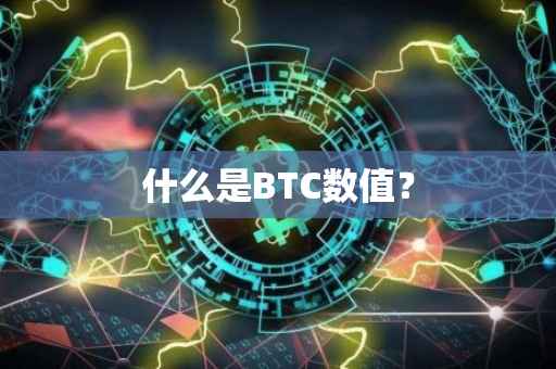 什么是BTC数值？