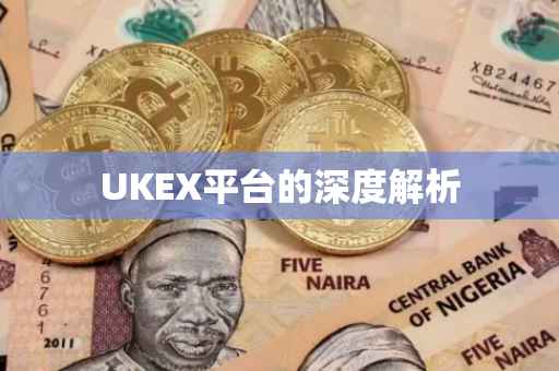 UKEX平台的深度解析