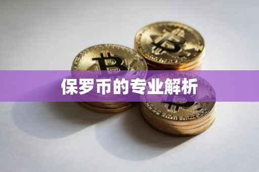 保罗币的专业解析