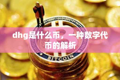 dhg是什么币，一种数字代币的解析