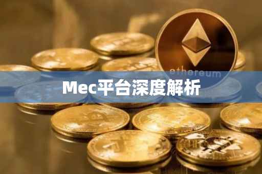 Mec平台深度解析