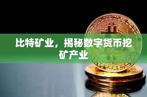 比特矿业,揭秘数字货币挖矿产业