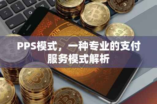 PPS模式，一种专业的支付服务模式解析