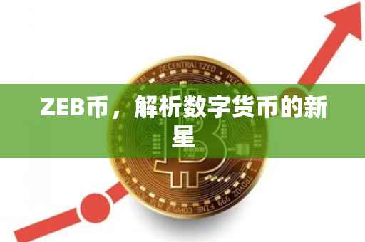 ZEB币，解析数字货币的新星